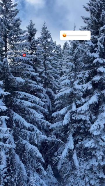 やっ雪降ったさぁー。#snowsnowsnow #スキー場 #wintersunshine