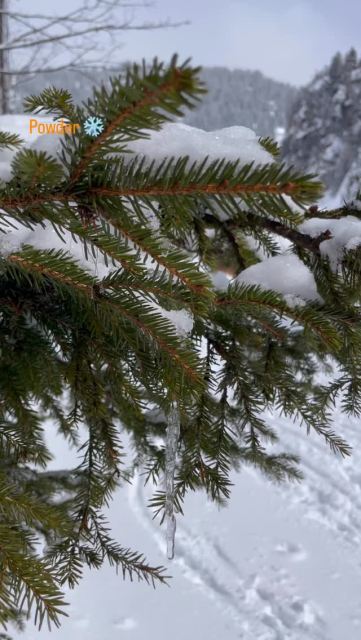 Ski season isn’t over yet! Open until April 12 with fantastic conditions ⛷️☃️#televillarsgryondiablerets #swisstravel #skiresorts #スイス #スキー場